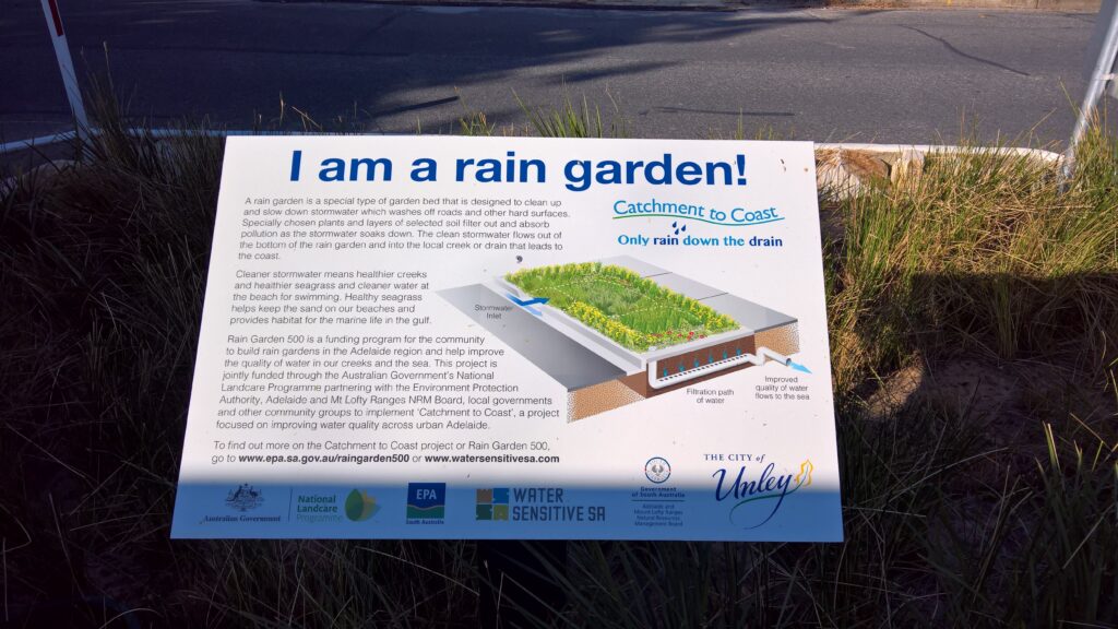 A guide to raingarden plant selection and placement – fact sheet - Water  Sensitive SA